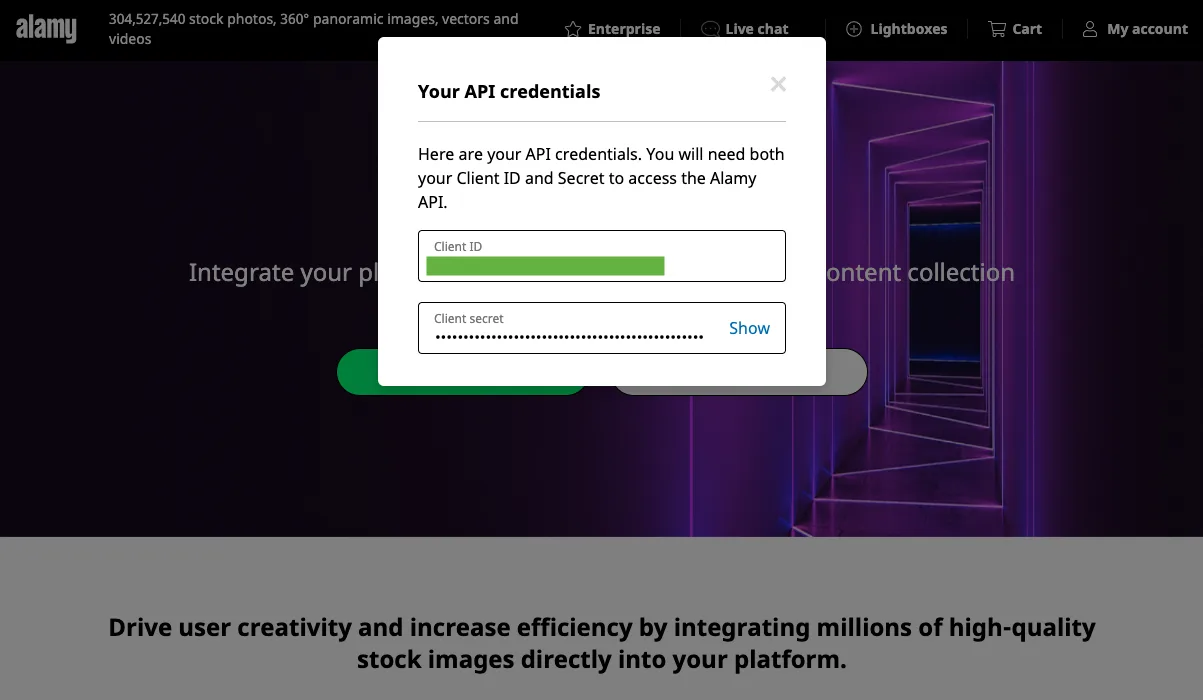 API key and secret displayed after clicking the credentials button